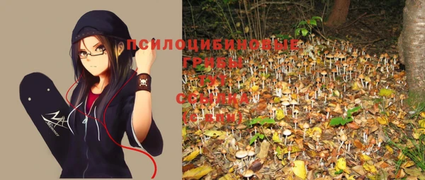 кокс Баксан