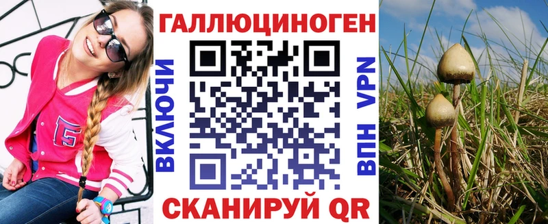 где продают Уржум Псилоцибиновые грибы GOLDEN TEACHER